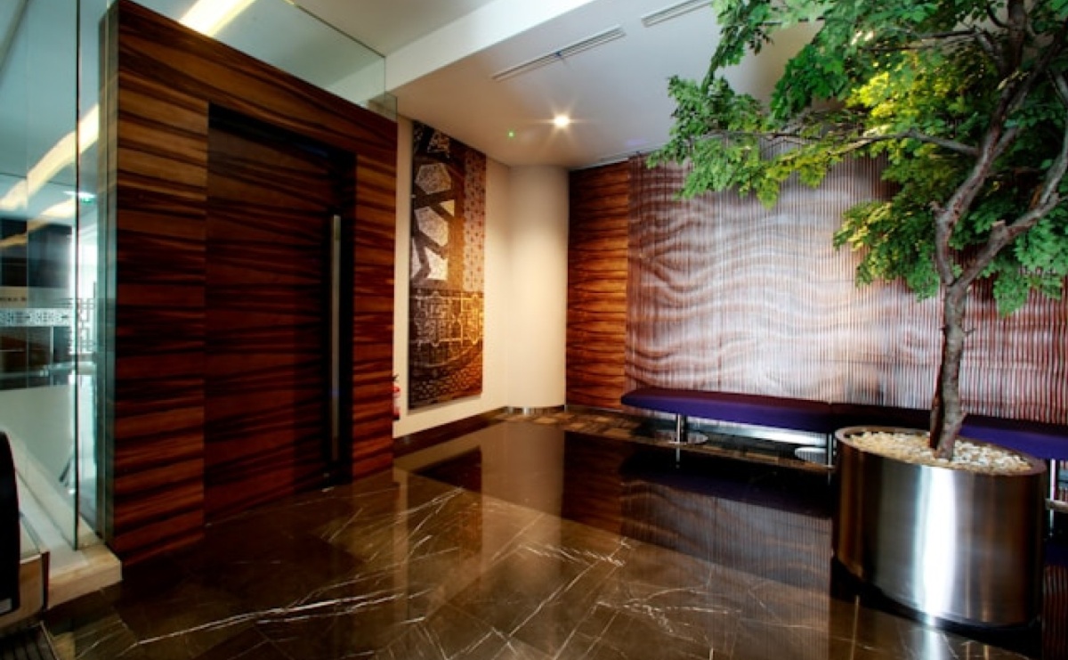 Pielęgnacja zieleni sezonowej w biurze – o czym pamiętać wiosną, latem i zimą? - Serwis informacyjny z Raciborza - naszraciborz.pl