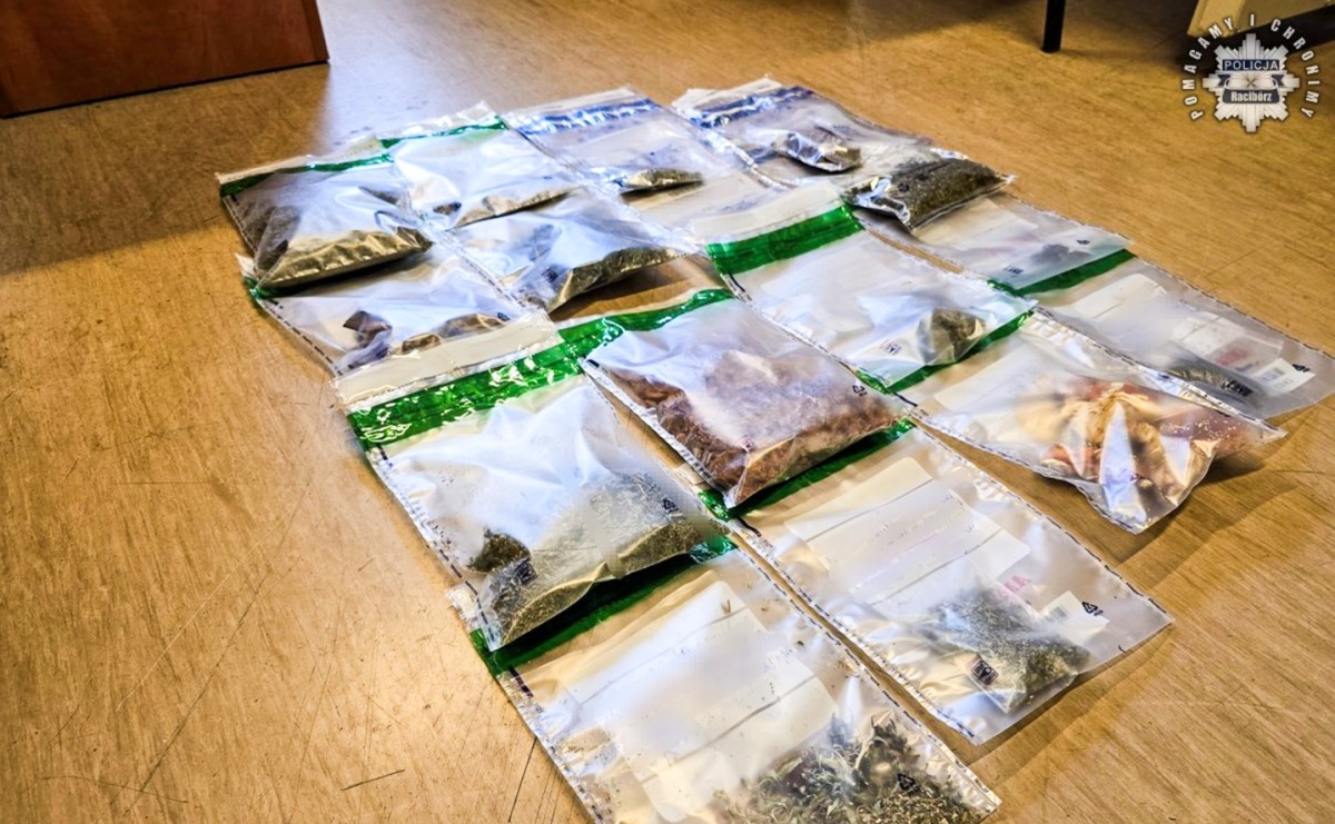 Raciborscy kryminalni uderzają w narkobiznes. Marihuana zabezpieczona w mieszkaniu - Serwis informacyjny z Raciborza - naszraciborz.pl