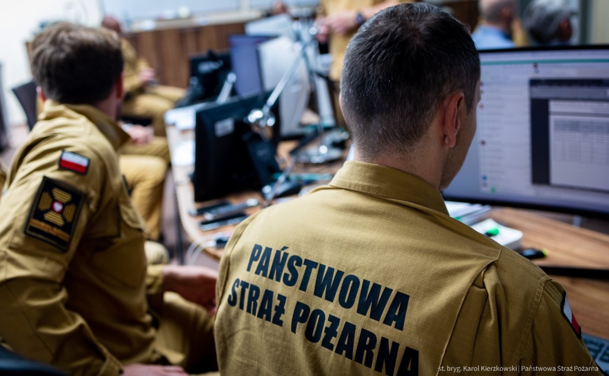 Piorun, pożar i pustułka. Pracowita sobota strażaków w powiecie raciborskim - Serwis informacyjny z Raciborza - naszraciborz.pl