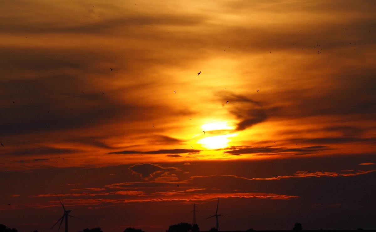 Ratusz otrzymał dotację na opracowanie Miejskiego Planu Adaptacji do Zmian Klimatu dla Miasta Racibórz - Serwis informacyjny z Raciborza - naszraciborz.pl