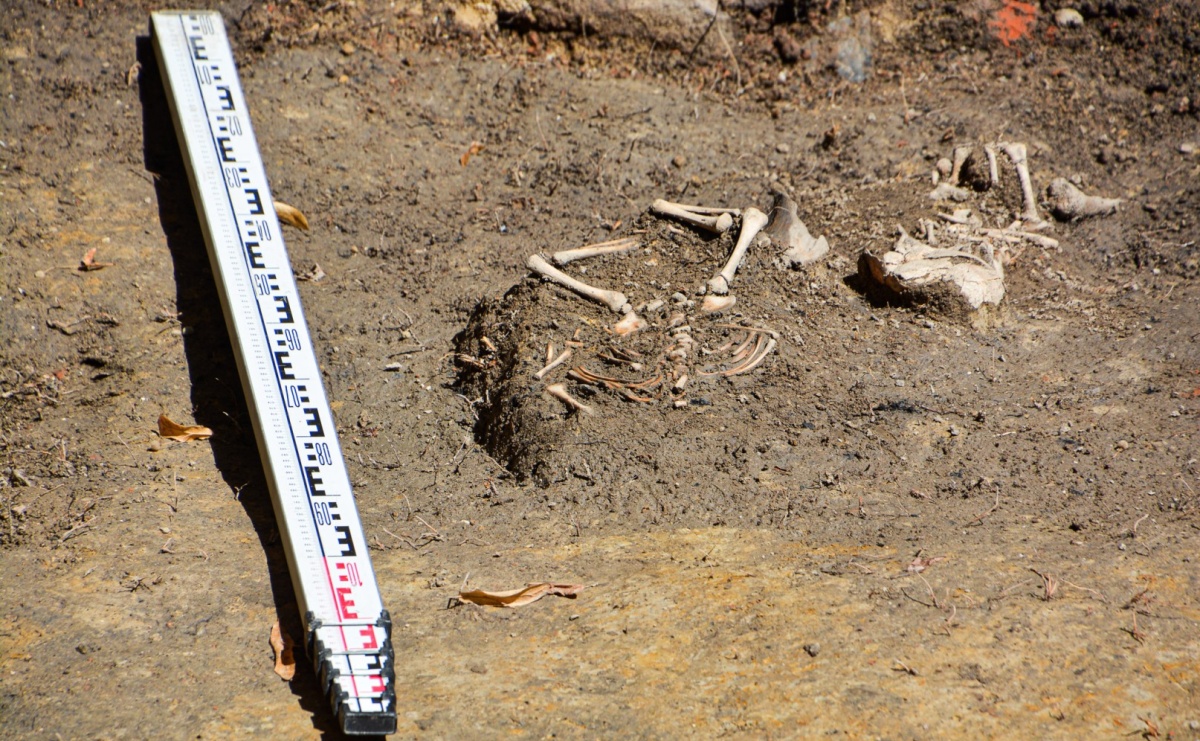 Szczątki noworodków odkryto przy ul. Gimnazjalnej [FOTO i WIDEO] - Serwis informacyjny z Raciborza - naszraciborz.pl