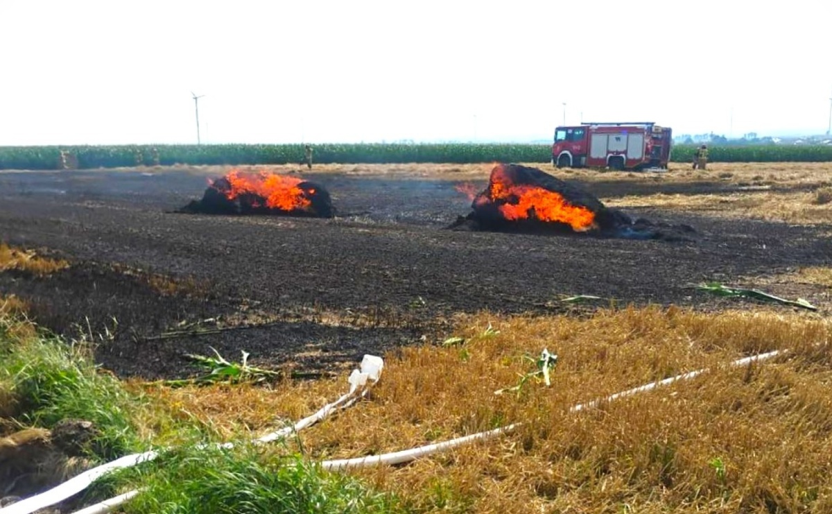 Pożar słomy, plama na jezdni i gniazdo owadów. Strażacka niedziela [RAPORT 998] - Serwis informacyjny z Raciborza - naszraciborz.pl