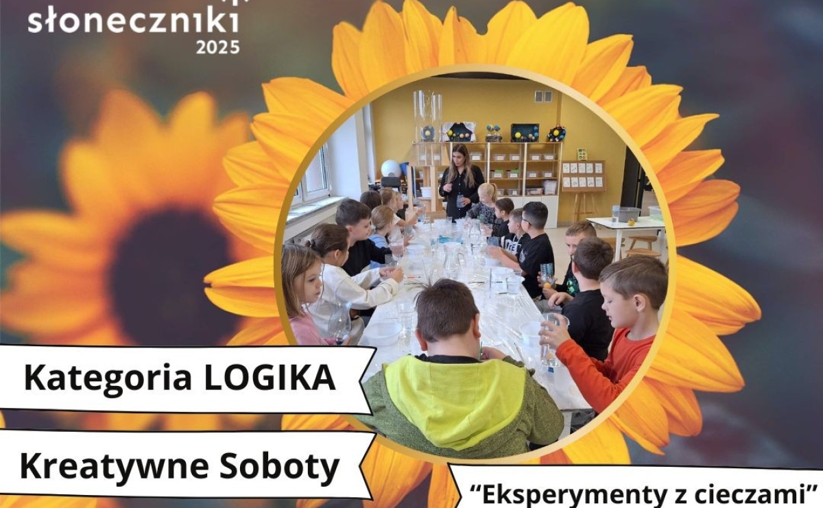 Strefa Odkrywania Wyobraźni i Aktywności z trzema nominacjami w konkursie Słoneczniki 2025 - Serwis informacyjny z Raciborza - naszraciborz.pl