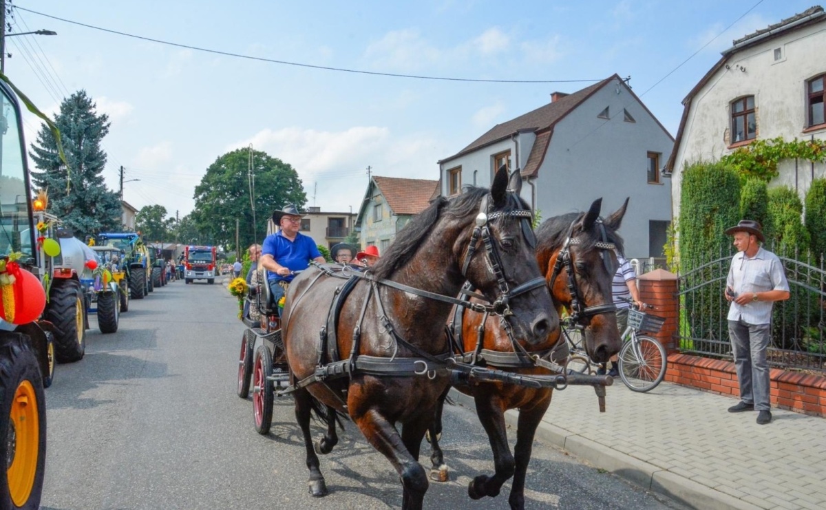 Festiwal Złotego Kłosa i Dożynki 2025 w Krzanowicach – polsko-czeskie święto plonów i kultury - Serwis informacyjny z Raciborza - naszraciborz.pl