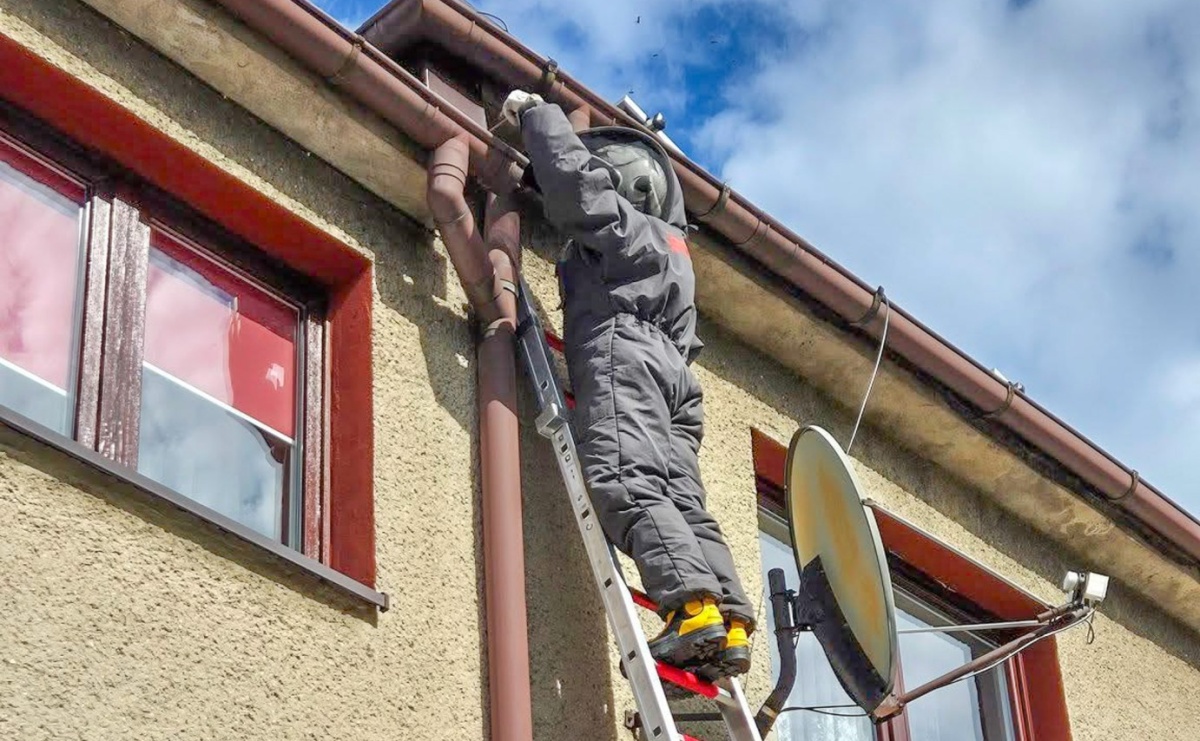 Strażacy w akcji: szerszenie i awaryjne otwarcie mieszkania w powiecie raciborskim - Serwis informacyjny z Raciborza - naszraciborz.pl