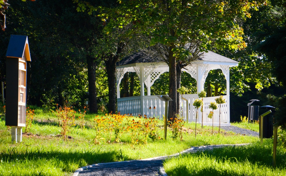 Nowe, wyjątkowe miejsce na mapie powiatu raciborskiego. Z rajską jabłonią [FOTO i WIDEO] - Serwis informacyjny z Raciborza - naszraciborz.pl