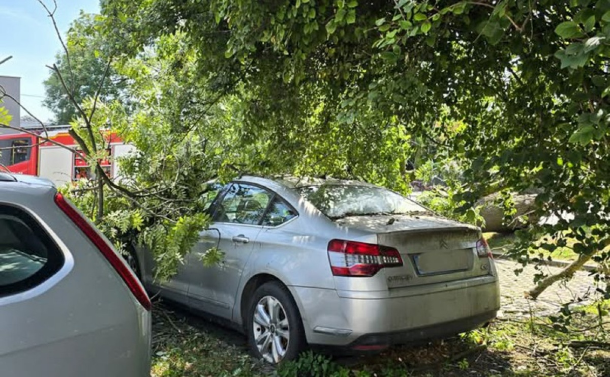 Strażacy w akcji – wichura i pożary traw w regionie [FOTO] - Serwis informacyjny z Raciborza - naszraciborz.pl