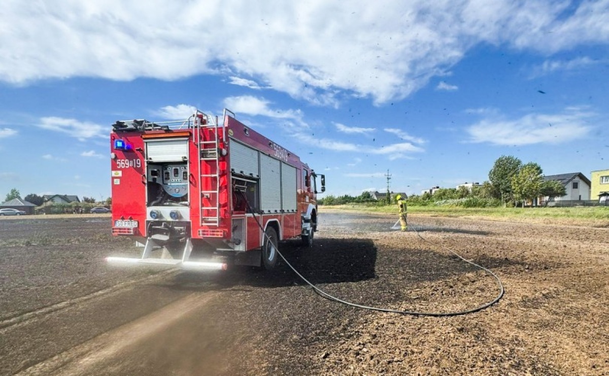 Pożary ściernisk, silny wiatr i interwencje przy gniazdach szerszeni – intensywny dzień dla strażaków - Serwis informacyjny z Raciborza - naszraciborz.pl