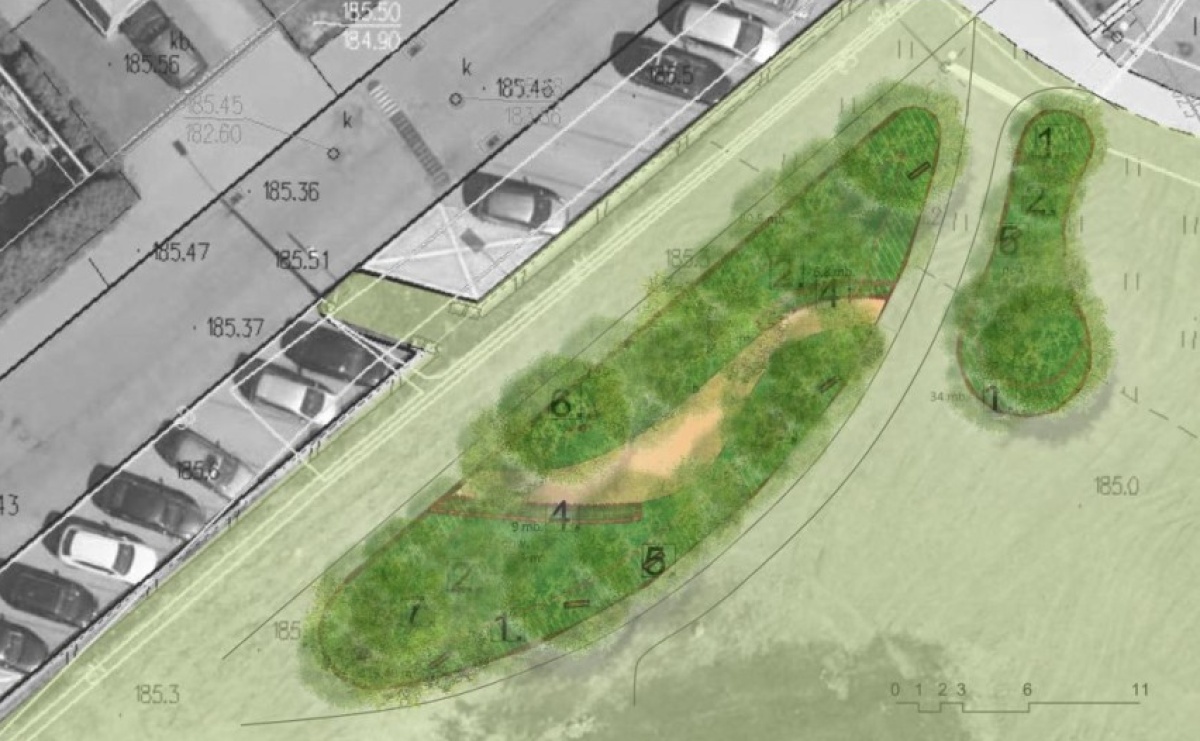 Pierwszy mikrolas Miyawaki w Raciborzu. Powstanie przy tężni na Ostrogu - Serwis informacyjny z Raciborza - naszraciborz.pl