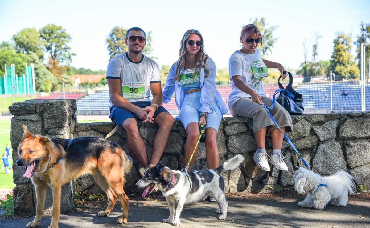 Dogtrekking w Raciborzu przyciągnął miłośników czworonogów [FOTO] - Serwis informacyjny z Raciborza - naszraciborz.pl