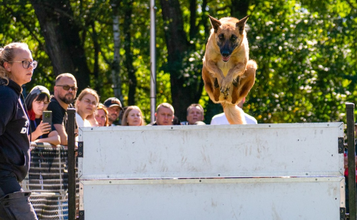 Psy w akcji w Babicach. Trwa Mondioring Cup of Nations - Serwis informacyjny z Raciborza - naszraciborz.pl