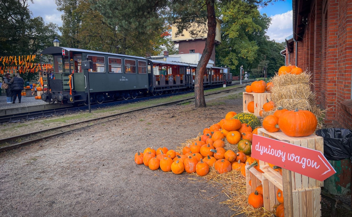 Dyniowa Stacja Rudy – jesienna atrakcja dla całej rodziny - Serwis informacyjny z Raciborza - naszraciborz.pl