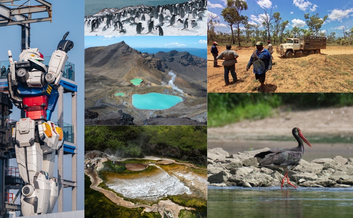 Zaproszenie dla szkół - Raciborski Festiwal Podróżniczy Wiatraki 2025 - Serwis informacyjny z Raciborza - naszraciborz.pl