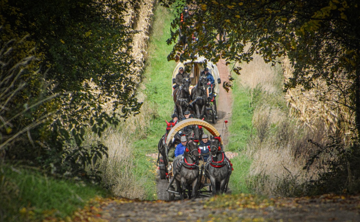 Hubertus w Kornowacu – jeźdźcy, tradycja i dobra zabawa [FOTO i WIDEO] - Serwis informacyjny z Raciborza - naszraciborz.pl