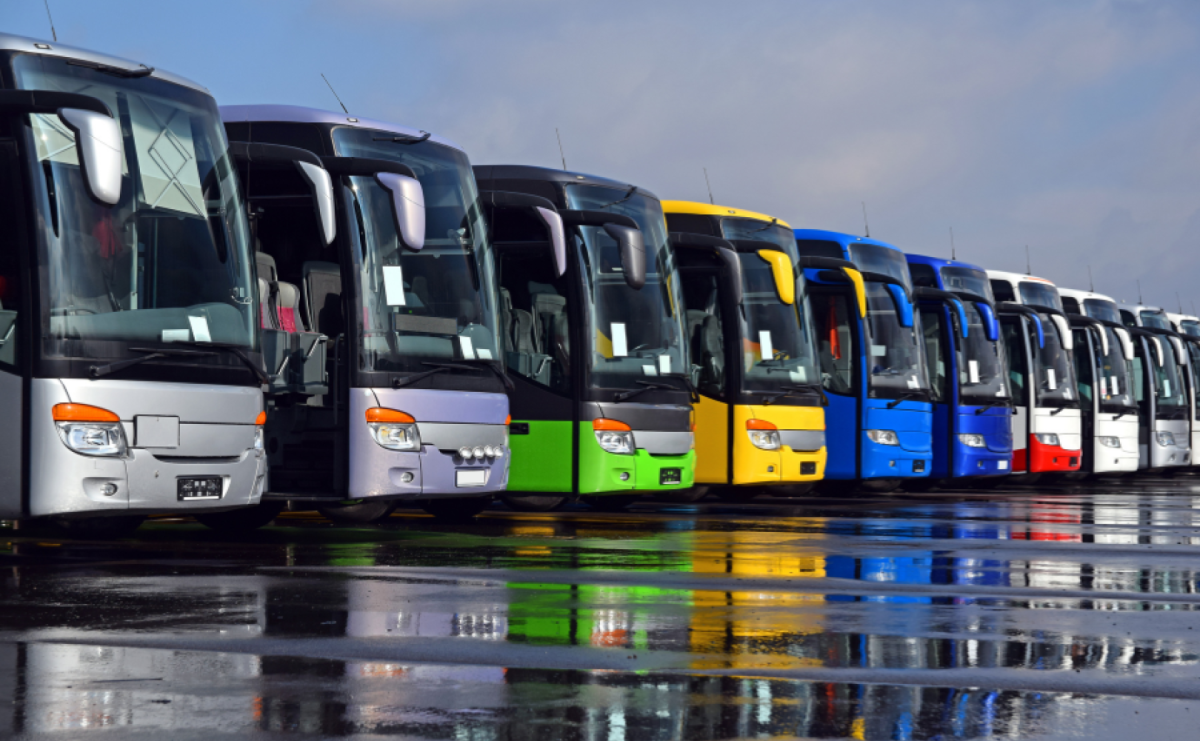 Dlaczego busy z Polski do Holandii są popularne wśród pracowników sezonowych - Serwis informacyjny z Raciborza - naszraciborz.pl