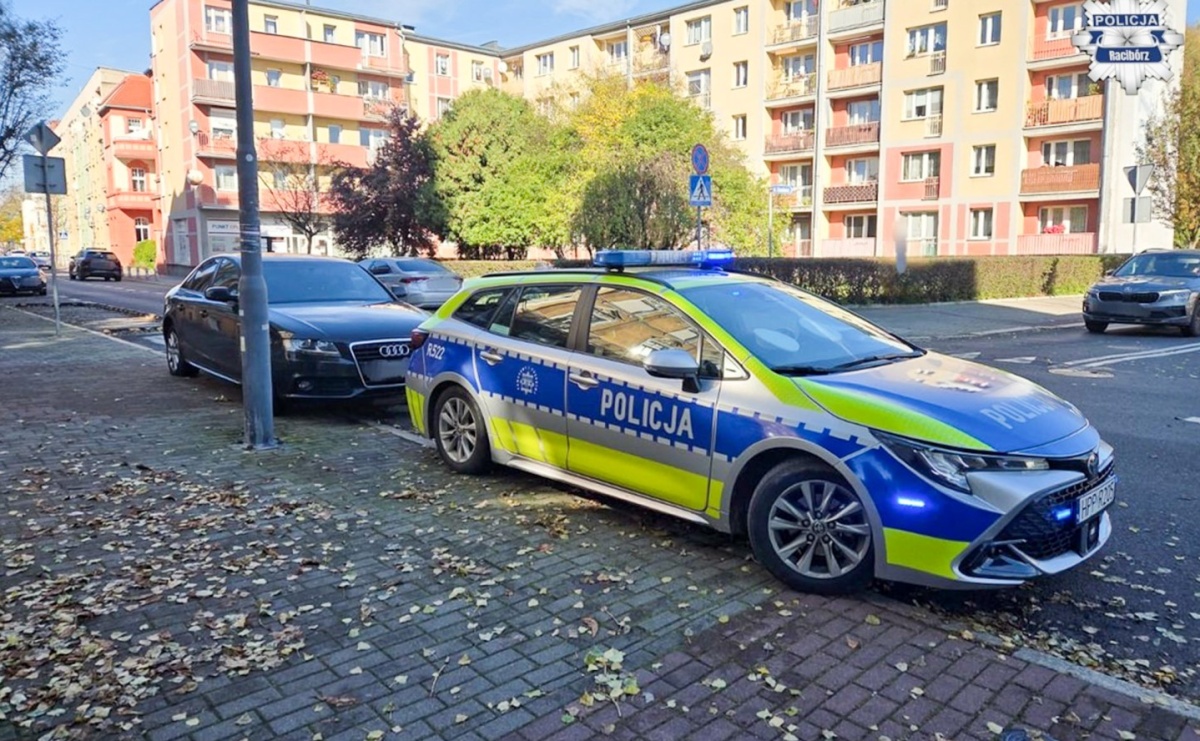 Zignorował decyzję starosty. Zapłacił mandat, a czeka go jeszcze sąd - Serwis informacyjny z Raciborza - naszraciborz.pl