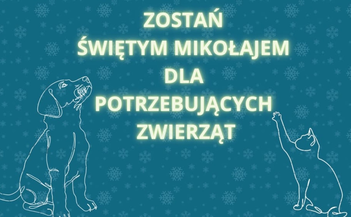 Zostań świętym Mikołajem dla potrzebujących zwierząt - Serwis informacyjny z Raciborza - naszraciborz.pl