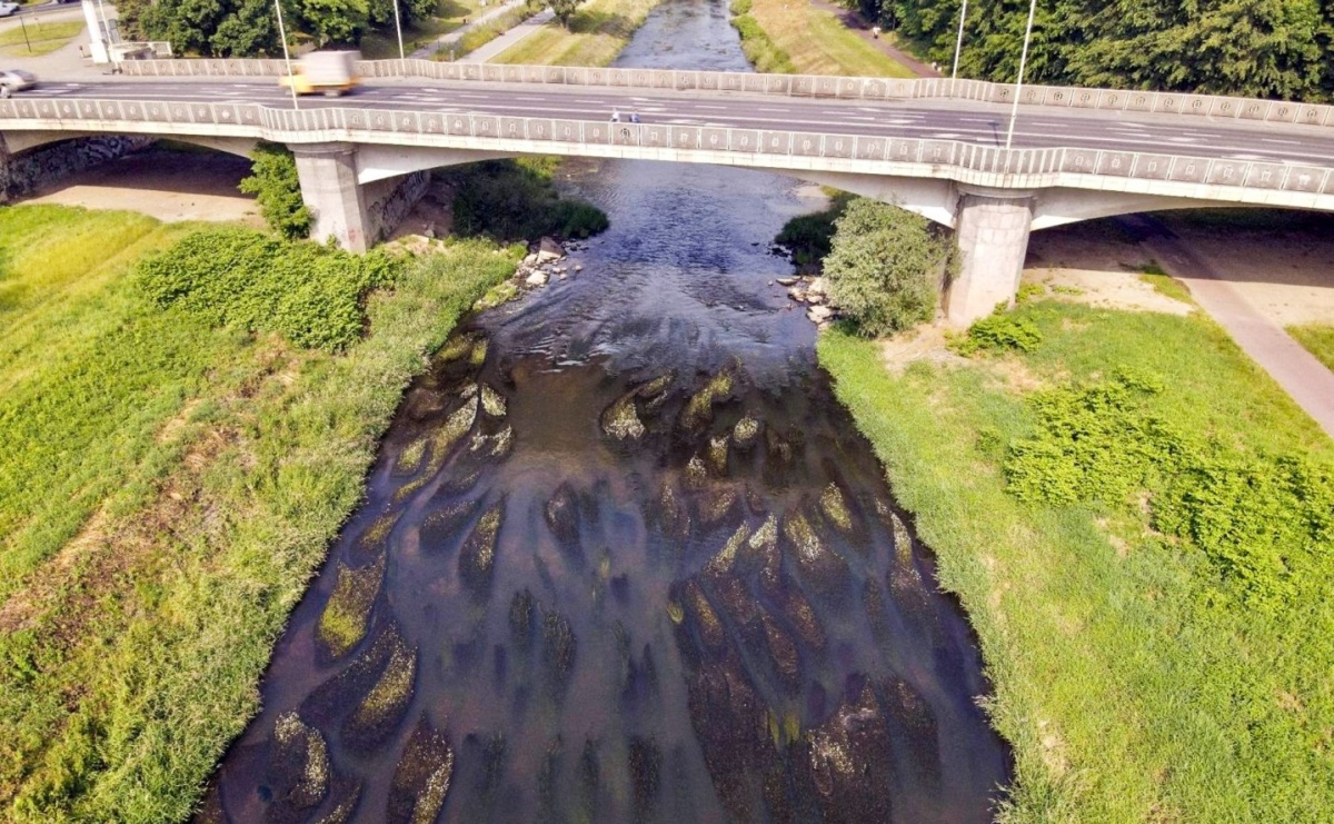 Psina ratuje Odrę miejską. Bez niej stare koryto zamieniłby się w strumyk - Serwis informacyjny z Raciborza - naszraciborz.pl