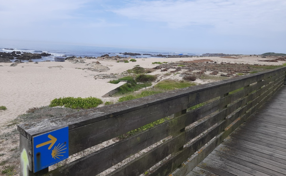 Droga do Camino. Biblioteka na Ostrogu zaprasza na slajdowisko podróżnicze - Serwis informacyjny z Raciborza - naszraciborz.pl