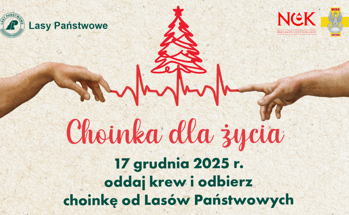 Choinka dla życia: podaruj krew, odbierz świąteczne drzewko, także w Raciborzu - Serwis informacyjny z Raciborza - naszraciborz.pl