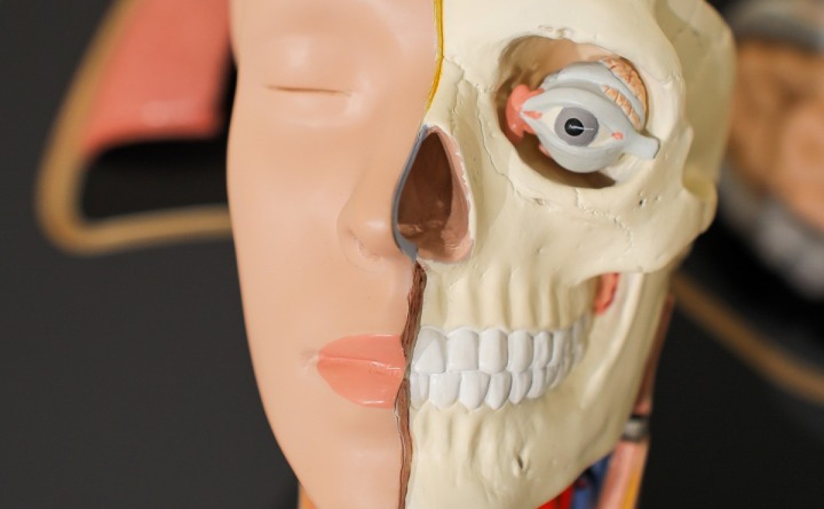 Nowe stanowiska w Strefie Odkrywania Wyobraźni i Aktywności w Raciborzu - Serwis informacyjny z Raciborza - naszraciborz.pl