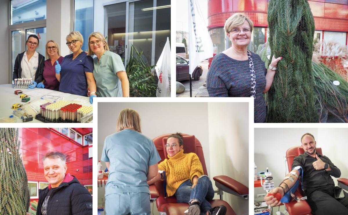 Choinka dla życia także w Raciborzu. Duże zainteresowanie akcją honorowego krwiodawstwa [FOTO i WIDEO] - Serwis informacyjny z Raciborza - naszraciborz.pl