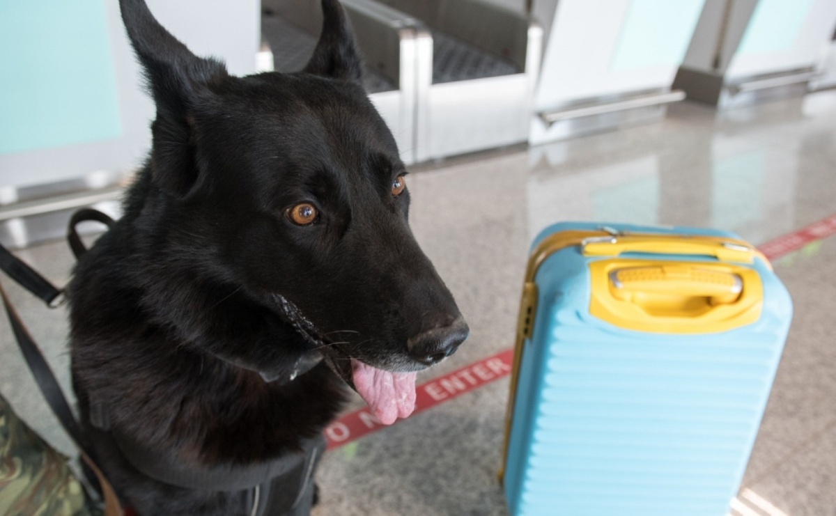 Weekend na lotnisku w Katowicach-Pyrzowicach - Serwis informacyjny z Raciborza - naszraciborz.pl