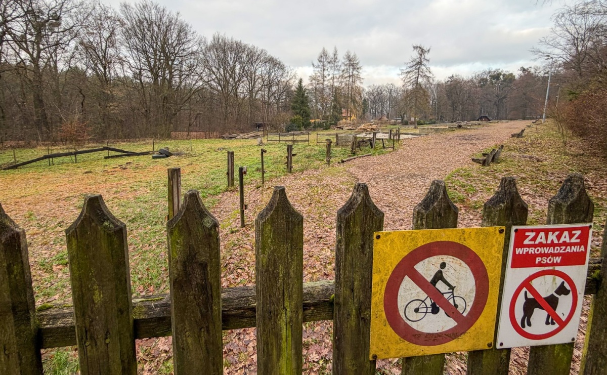 Trwa wielka przebudowa w Lesie Obora [FOTO] - Serwis informacyjny z Raciborza - naszraciborz.pl