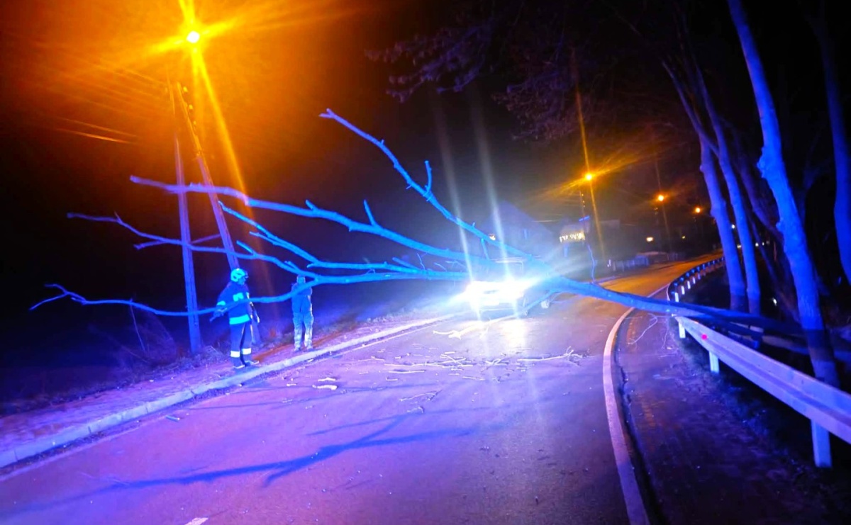 Powalone drzewo w Tworkowie. Poranny alarm przy Jasnej [RAPORT 998] - Serwis informacyjny z Raciborza - naszraciborz.pl