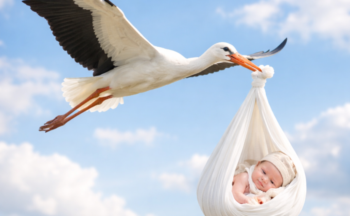 Gmina Kornowac w 2025 r.: wzrosła liczba urodzeń - Serwis informacyjny z Raciborza - naszraciborz.pl