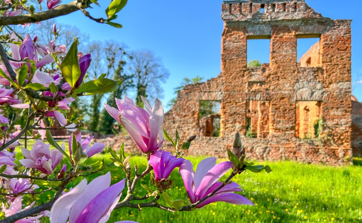 Kohut interweniuje w sprawie ruin Pałacu Eichendorffów w Łubowicach - Serwis informacyjny z Raciborza - naszraciborz.pl