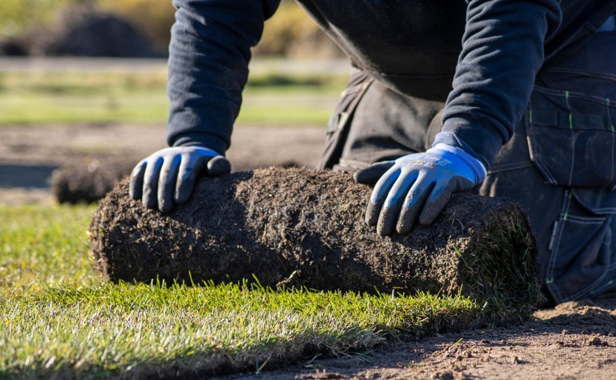 Jak przygotować działkę pod trawę z rolki zimą i wczesną wiosną - Serwis informacyjny z Raciborza - naszraciborz.pl