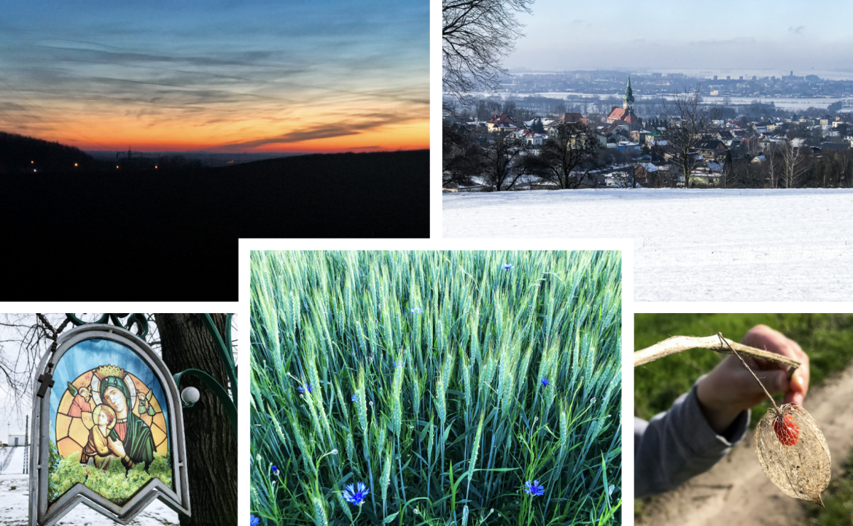 Lipki - Boże miejsce nad Raciborzem. Historia Brzezia spięta ramami przyrody - Serwis informacyjny z Raciborza - naszraciborz.pl