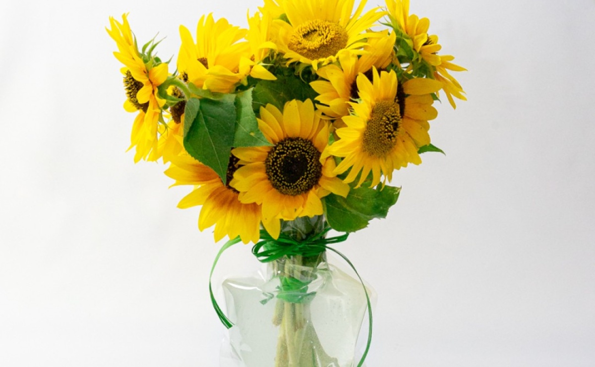 Hurtownia florystyczna – zaplecze, od którego zależy jakość każdej kompozycji - Serwis informacyjny z Raciborza - naszraciborz.pl