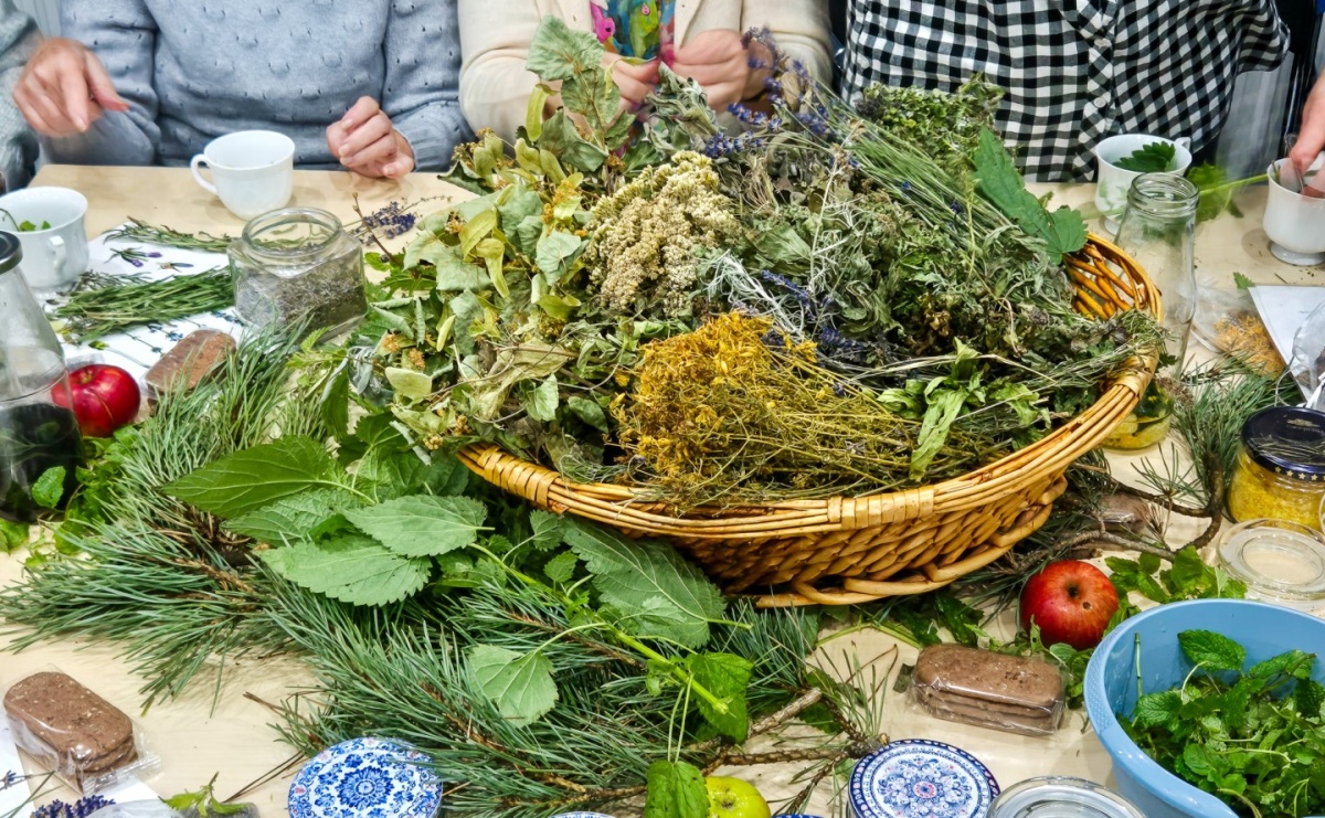 Biblioteka w Raciborzu zaprasza na wykład: Sekrety ziołowej natury - Serwis informacyjny z Raciborza - naszraciborz.pl