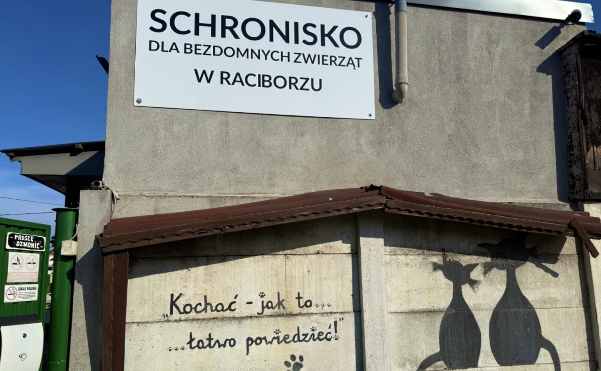 Raciborskie schronisko dla zwierząt w centrum obrad komisji rozwoju - Serwis informacyjny z Raciborza - naszraciborz.pl