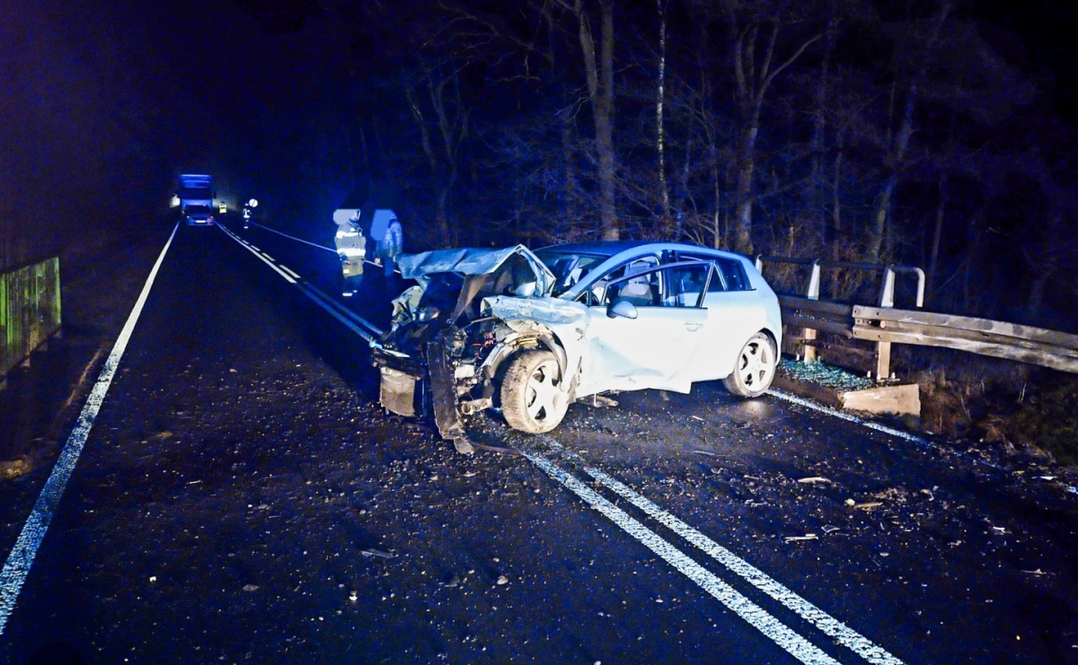 Pijany kierowca seata ukrywał się w zaroślach. Zatrzymanie w Jankowicach - Serwis informacyjny z Raciborza - naszraciborz.pl