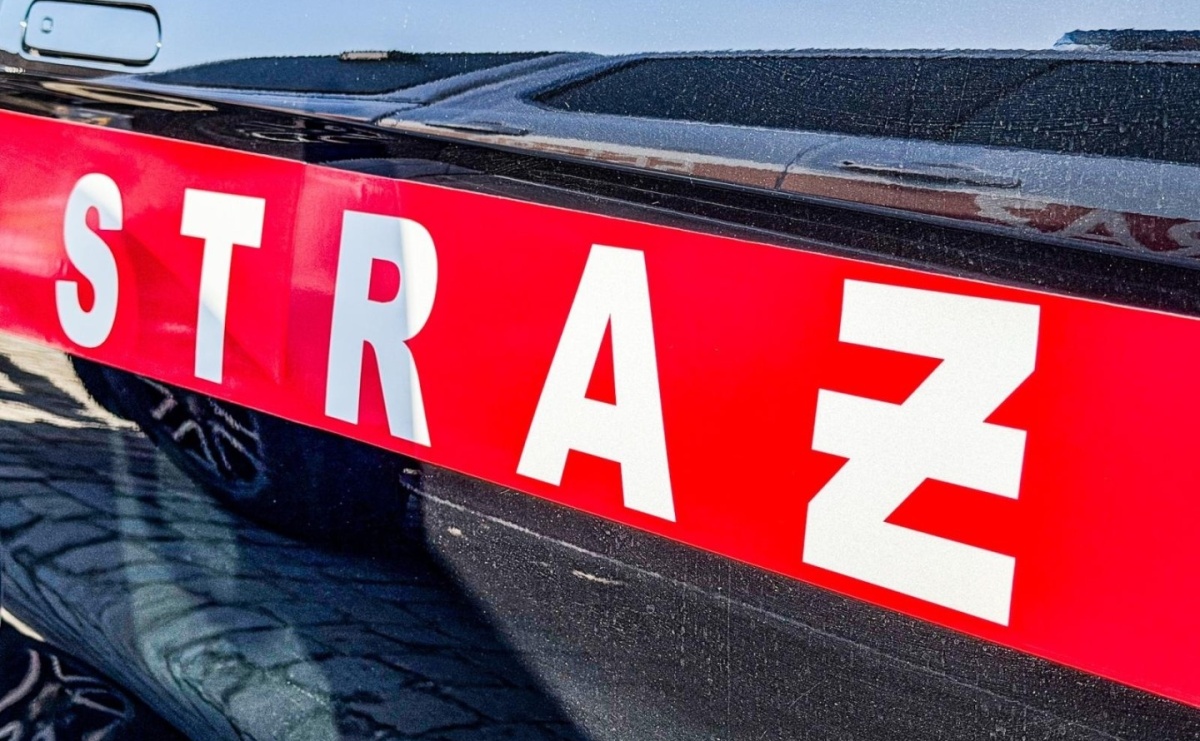 Pożar budynku gospodarczego w Rudniku i dwa pożary traw w powiecie raciborskim - Serwis informacyjny z Raciborza - naszraciborz.pl