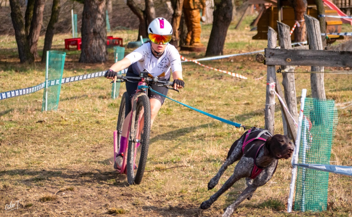 Międzynarodowe wyścigi psich zaprzęgów w Kuźni Raciborskiej. Emocjonujący weekend Dog Adventure Sprint Race - Serwis informacyjny z Raciborza - naszraciborz.pl