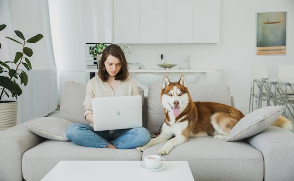 Ubezpieczenie zwierząt – jak działa i kiedy naprawdę ma sens? - Serwis informacyjny z Raciborza - naszraciborz.pl