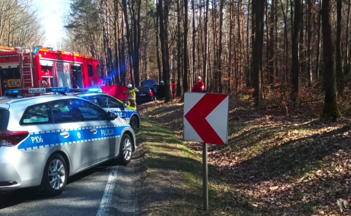 Wypadek w lesie. Droga między Kuźnią Raciborską a Rudą Kozielską zablokowana - Serwis informacyjny z Raciborza - naszraciborz.pl