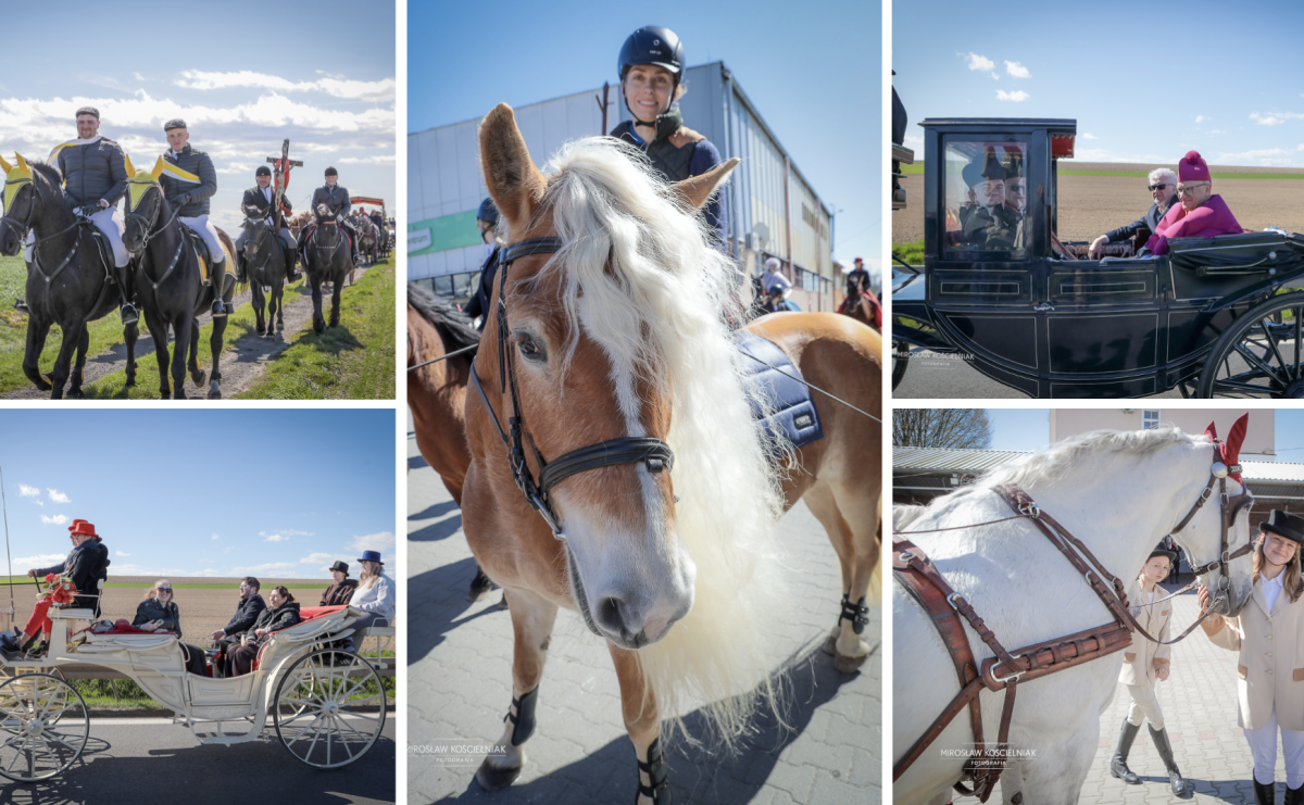 Wielkanocny objazd pól w powiecie raciborskim [BIEŃKOWICE, PIETROWICE WLK., SUDÓŁ] - Serwis informacyjny z Raciborza - naszraciborz.pl