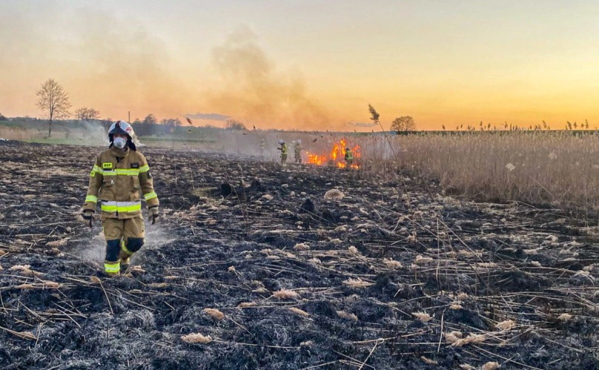 Interwencje straży pożarnej w powiecie raciborskim. Cztery zdarzenia jednego dnia [RAPORT 998] - Serwis informacyjny z Raciborza - naszraciborz.pl