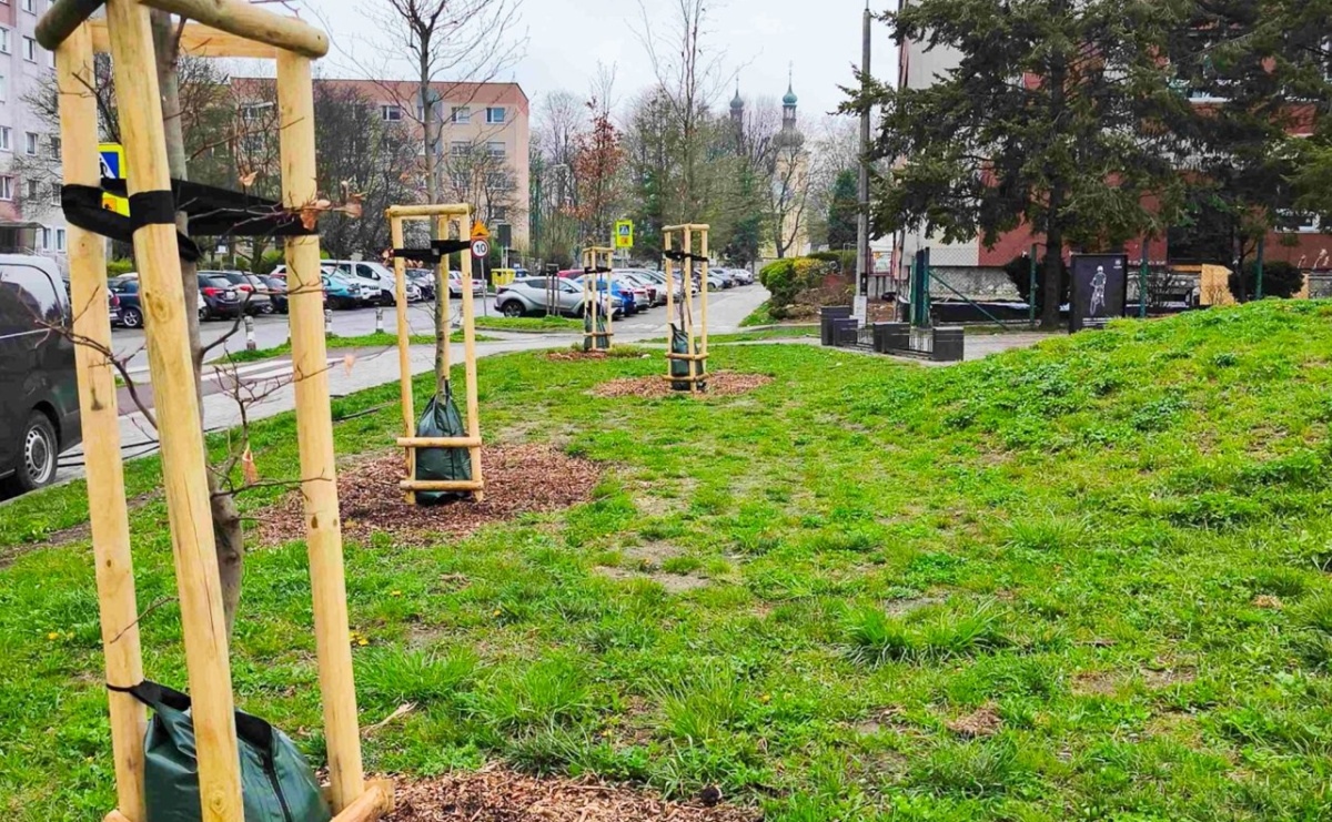 Racibórz stawia na nowoczesną pielęgnację zieleni - Serwis informacyjny z Raciborza - naszraciborz.pl