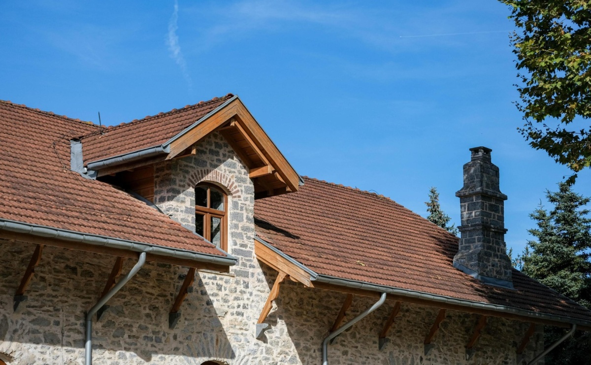 Jak wybrać firmę do naprawy szkód po kunach, żeby nie płacić dwa razy? - Serwis informacyjny z Raciborza - naszraciborz.pl