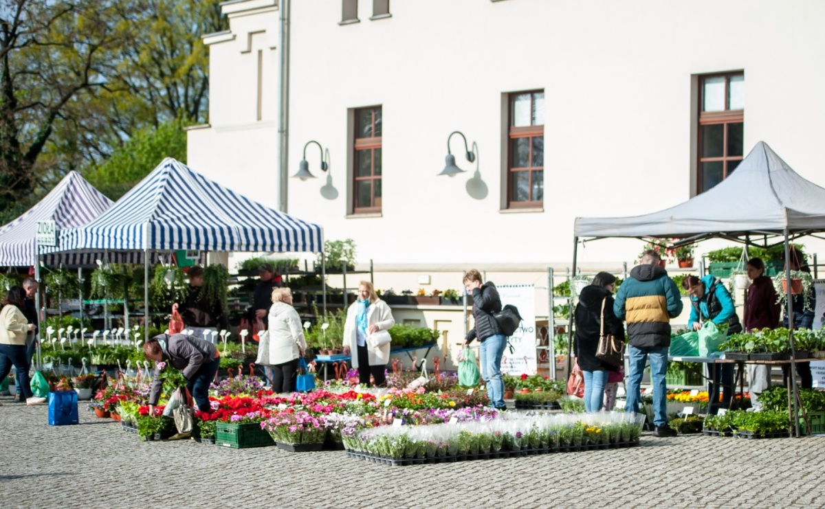 Ruszył wiosenny jarmark na Zamku Piastowskim w Raciborzu - Serwis informacyjny z Raciborza - naszraciborz.pl
