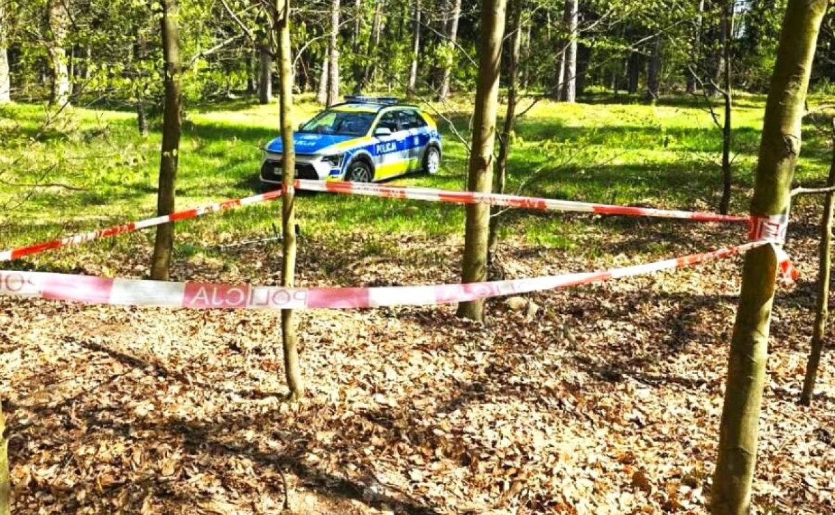 Niewybuchy w lesie pod Raciborzem. Służby apelują o ostrożność - Serwis informacyjny z Raciborza - naszraciborz.pl