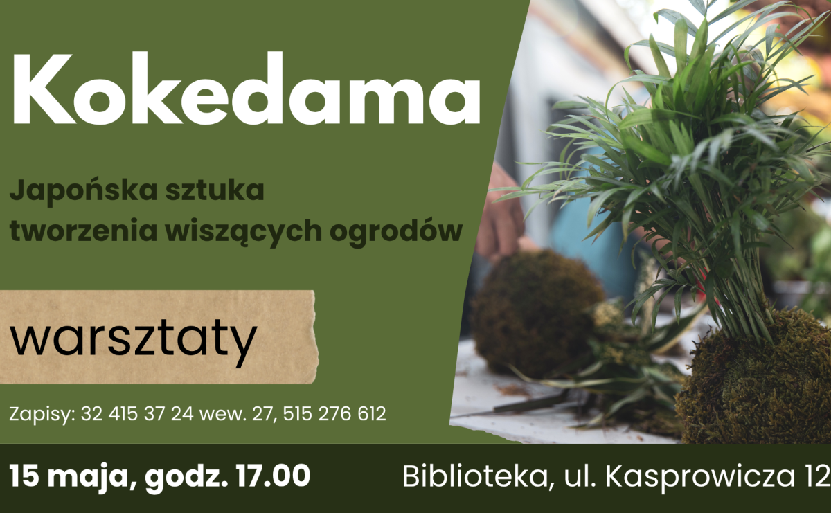 Kokedama - warsztaty tworzenia wiszących ogrodów w bibliotece. Ostatnie wolne miejsca! - Serwis informacyjny z Raciborza - naszraciborz.pl
