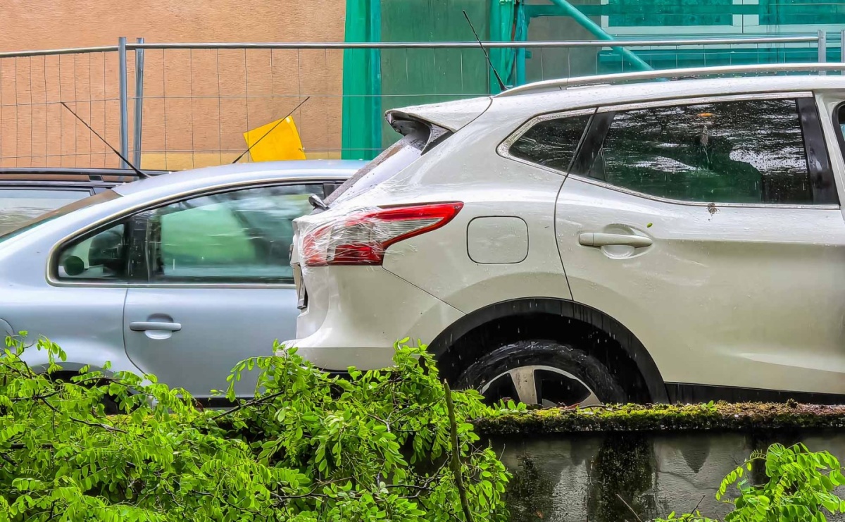 Złamane drzewo runęło na auto. Strażacy interweniowali na Sejmowej - Serwis informacyjny z Raciborza - naszraciborz.pl