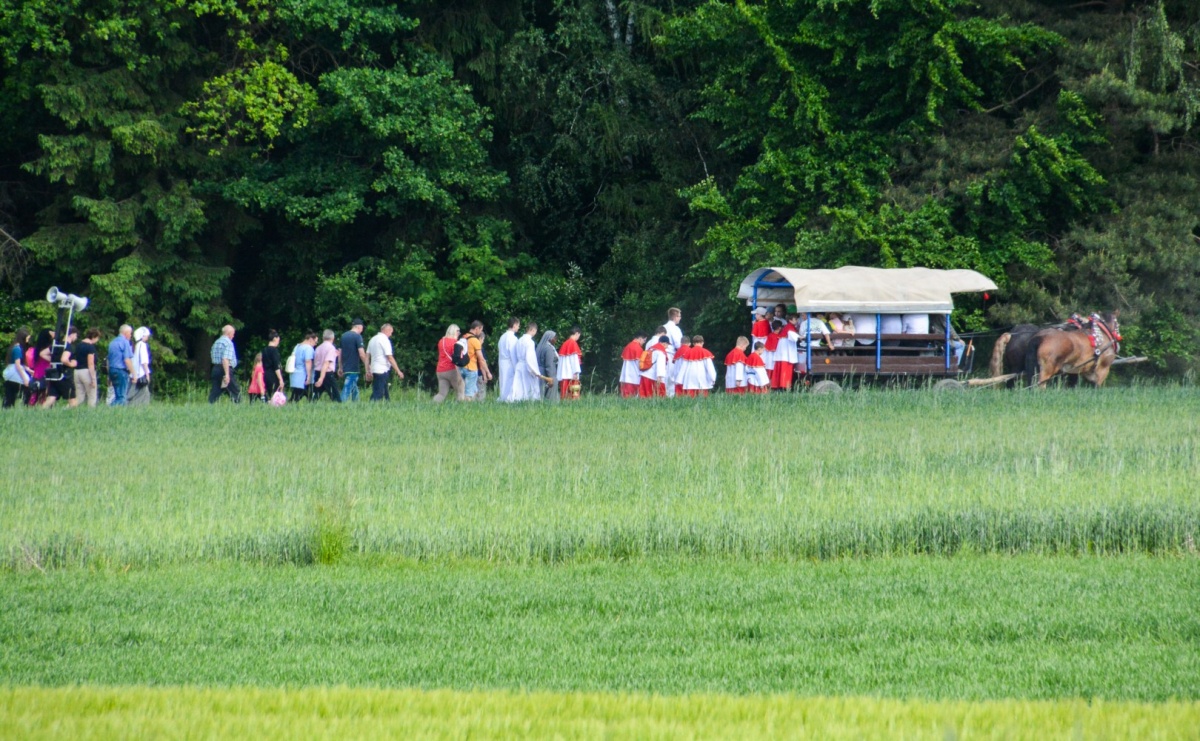 Procesja na św. Urbana w Brzeziu – tradycja i duchowa wartość [FOTO i WIDEO] - Serwis informacyjny z Raciborza - naszraciborz.pl